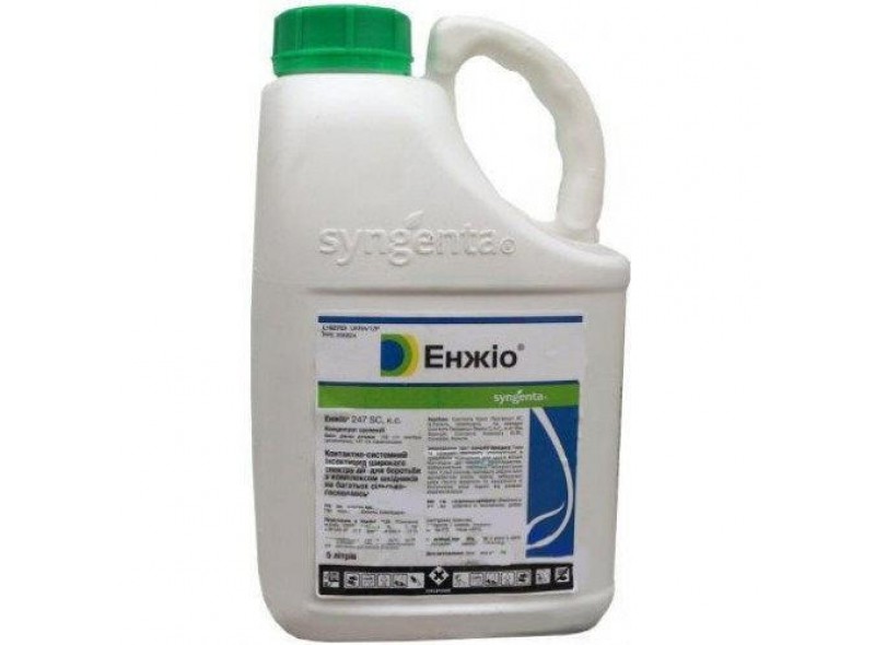 Енжіо 5 л інсектицид контактної дії, Syngenta Енжіо 5 л інсектицид контактної дії, Syngenta